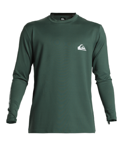 [AQYWR03136GRT0PPKAJ] EVERYDAY Surf Tee LS-PPK AJ