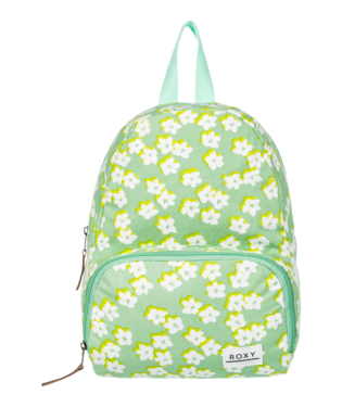 [ERJBP04720GFK61SZ] ALWAYS CORE CAN BKPK
